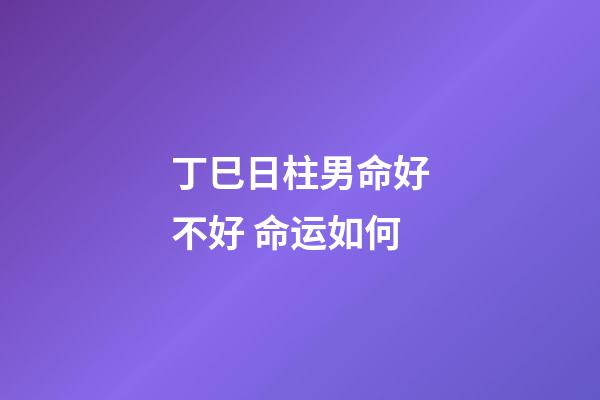 丁巳日柱男命好不好 命运如何